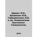 Schmidt A.A., Bezmenko A.A., Gaivoronskikh D.I....