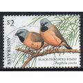 Australia 2018 Finches II - Black-Throated Finc...