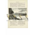 Shrewsbury from Coton Hill, Book Illustration (...