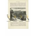 River Duddon, Lake District, Book Illustration ...