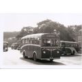 Black & White Photograph of Guernsey Motors Ltd...