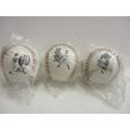 1998 World Series Baseballs Ohtani,Mark McGwire...