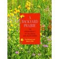 A Backyard Prairie