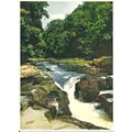 Yorkshire BOLTON ABBEY The Strid Postcard (Walt...