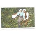 1912 Greetings postcard - Day We Took the Washi...