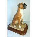 BORDER FINE ARTS, BOXER, Code MT09,1995,Origina...