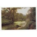 Miller's Dale near Tideswell Postcard 1966 Derbyshire