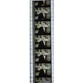 NOTORIOUS. Pk MTP - A003c. 1 STRIP OF 5 - 35MM ...