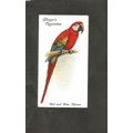 Cigarette Card Players Aviary & Caged Birds 193...