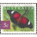 AUSTRALIA, BUTTERFLY, Sword Grass Brown, violet...