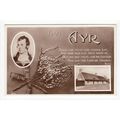 Robert Burns from Ayr RP Postcard 914