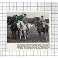 Mr Arrowsmith-Brown Mrs L W Gormley Arab Horse ...