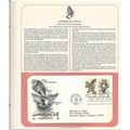 AMERICAN OWLS . Great Horned Owl ' OFFICIAL FIR...