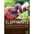 Elephants Under Human Care