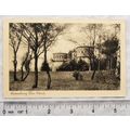 vintage postcard Luxembourg - Trois Glands