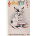 Artist Drawn Dog Doing The Washing Postcard (AN82)