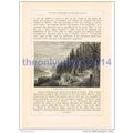 Woodcutters Camp in the Ardennes, France, Book ...