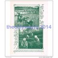 RICE FIELDS, TEA PLANTATION, UJI, JAPAN, BOOK I...