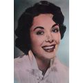 bc0014 - Film Actress - Dana Wynter - print 6"x4"