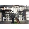 iwc108 - The Sandown Pier Master with his dog ,...