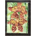 AUS 1998 $1.00 'SINGAPORE JOINT ISSUE' FINE USE...