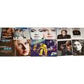 ADELE 180x Clippings Covers