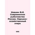 Kevdin V.A. Modern Fishing in Russia. A Peoples...