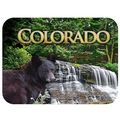 Colorado with Black Bear and Waterfall Fridge M...