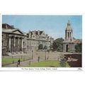 Photographic Postcard - The Front Square, Trini...