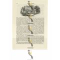 Rugby School, Warkwickshire, Book Illustration ...