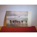 THE STORM Prof Van Hier unused antique postcard by Raphael Tuck art series =