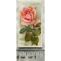 1926 Wills Roses No. 31 Mme Abel Chatenay