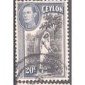 Ceylon stamps 1938 - SG391 - 20c Plucking Tea K...