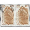 INDIA, BIRD, Painted Stork, Mycteria, brown 200...