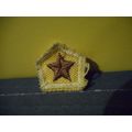 Brown Star,Boy Scout Patch