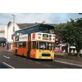 Colour Photograph of Yellow Buses Ltd. - TJT 19...