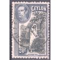 Ceylon stamps 1938 - SG391 - 20c Plucking Tea K...