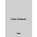 Years of fighting. In Russian /Gody boevye.
