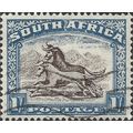 SOUTH AFRICA, MAMMAL, Wildebeest, Connochaetes ...