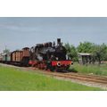 MECF Dampflokomotive Rebenbummler Bahnhof Bahli...