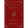 Brighton; Or the Steyne, Vol. 1 of 3: A Satiric...