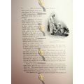 Water Seller, Egypt, Bazin , Book Illustration ...