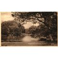 Waggoner's Wells, Hindhead, Surrey, 43425 Frith...