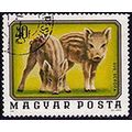 Hungary 1976 Young Animals 40f Used Stamp