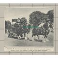 C4060) Messrs Young & Company Brewery Wandswort...