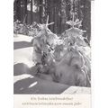 Christmas and New Year Greetings Germany Postca...