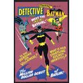 Batgirl Debut Batman & Robin Detective DC Comic...