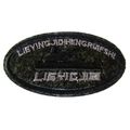 Army Iron Patch Sew Military Embroidered Badge ...