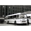 Black & White Photograph of North Western Road ...