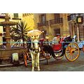 D025581 No. 88. Malaga. Costa del Sol. Bishops ...